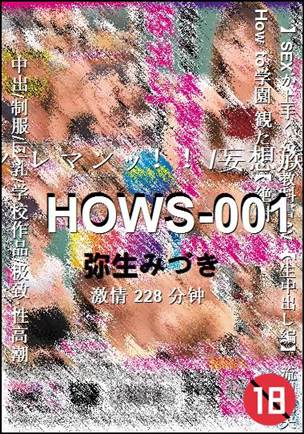 HOWS-001228 
