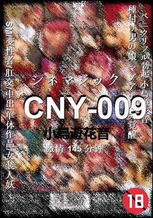 CNY-009145 
