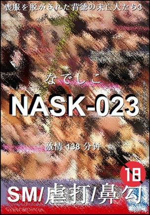 NASK-023138 