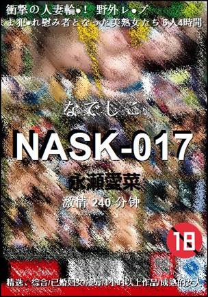 NASK-017240 