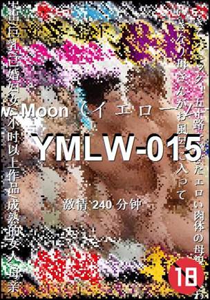YMLW-015240 