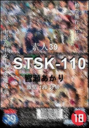 STSK-110120 