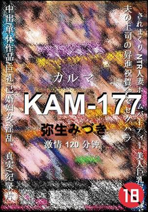 KAM-177120 分钟
