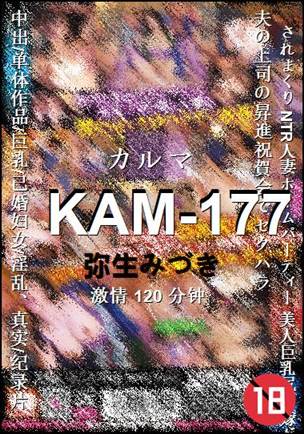 KAM-177120 