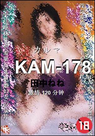 KAM-178120 