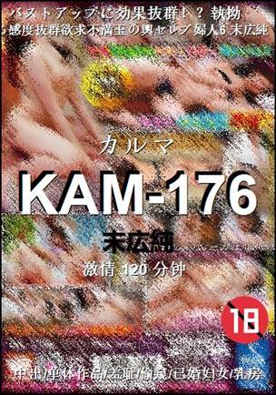 KAM-176120 