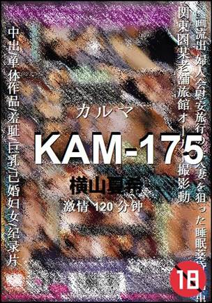 KAM-175120 