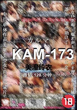 KAM-173120 