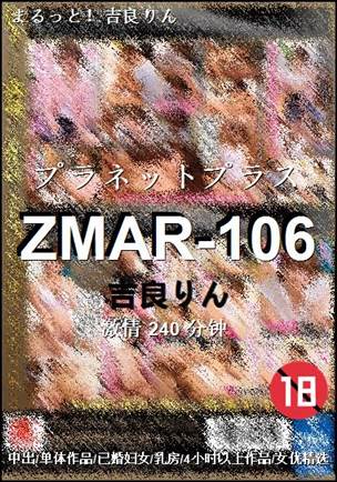 ZMAR-106240 分钟