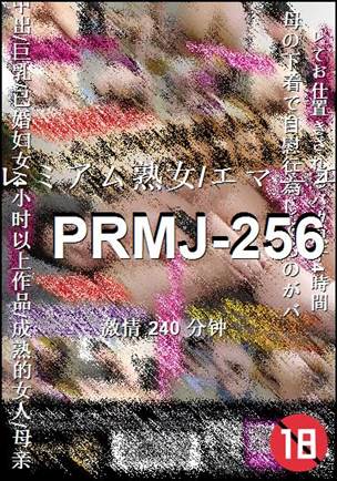 PRMJ-256240 