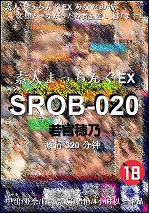 SROB-020320 