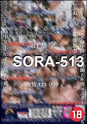 SORA-513123 