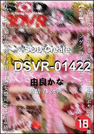 DSVR-0142278 