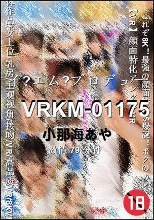 VRKM-0117579 