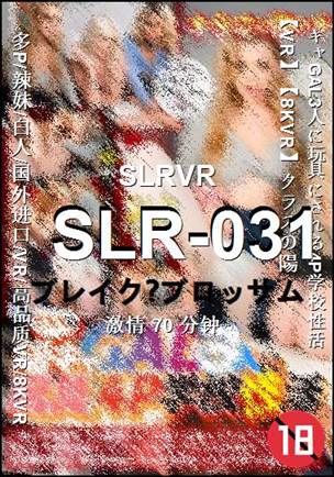 SLR-03170 