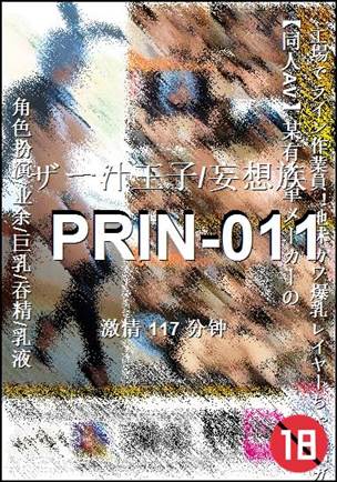 PRIN-011117 