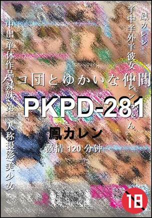 PKPD-281120 分钟