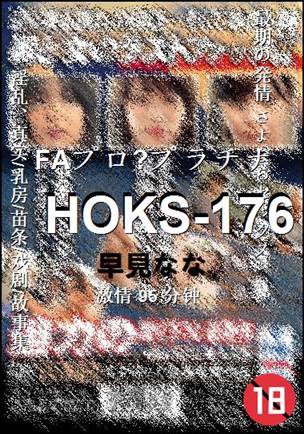 HOKS-17695 