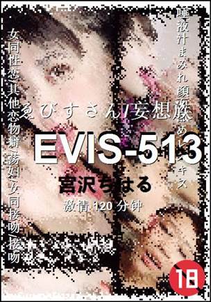 EVIS-513120 