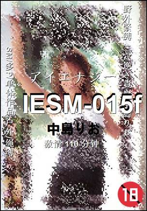 IESM-015f110 