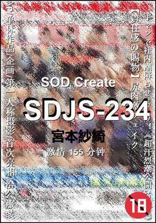 SDJS-234155 