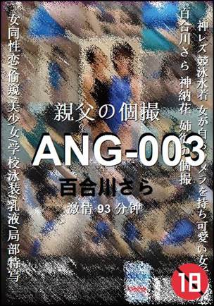 ANG-00393 