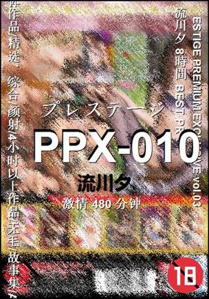 PPX-010480 