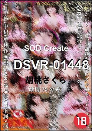 DSVR-0144875 