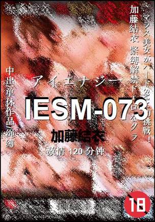 IESM-073120 