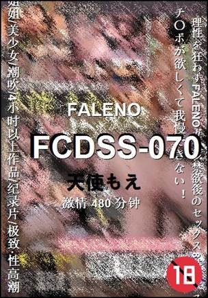 FCDSS-070480 