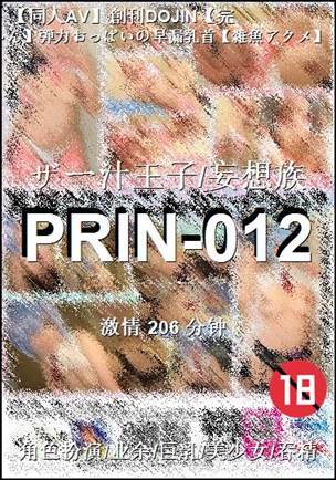 PRIN-012206 