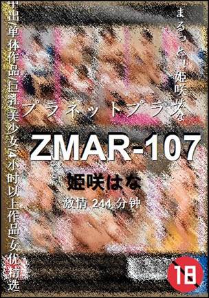ZMAR-107244 