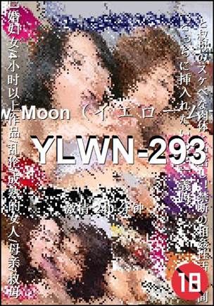 YLWN-293240 