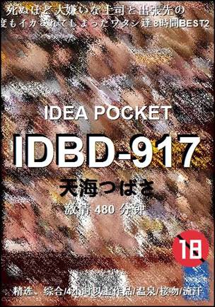 IDBD-917480 分钟