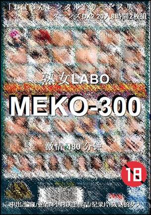 MEKO-300480 