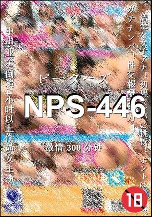 NPS-446300 