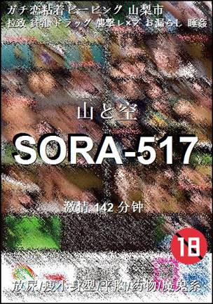 SORA-517142 