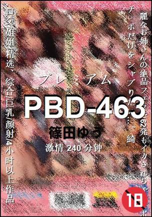 PBD-463240 分钟