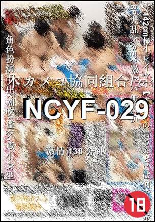 NCYF-029138 