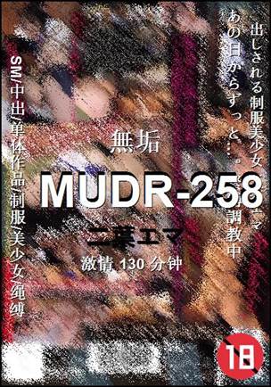 MUDR-258130 