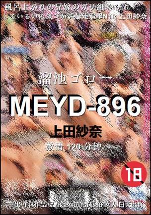 MEYD-896120 