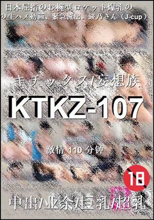 KTKZ-107110 