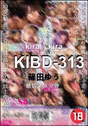 KIBD-313240 