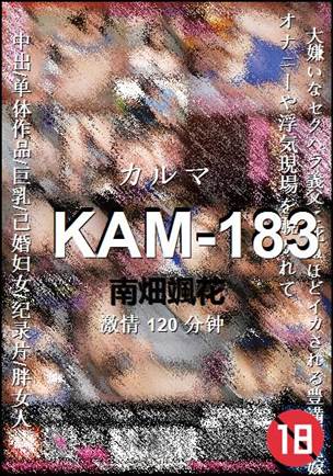 KAM-183120 