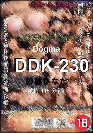 DDK-230115 