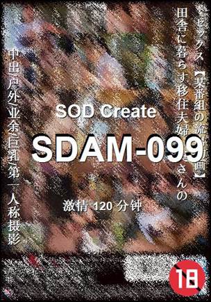 SDAM-099120 