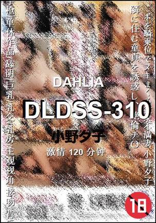 DLDSS-310120 