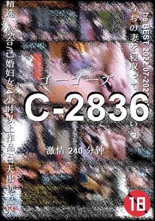 C-2836240 