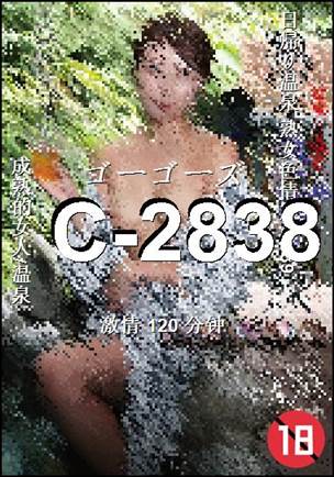 C-2838120 