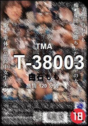 T-38003120 